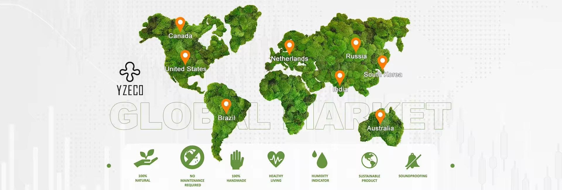 Qualität Natürliche, erhaltenen Moose usine