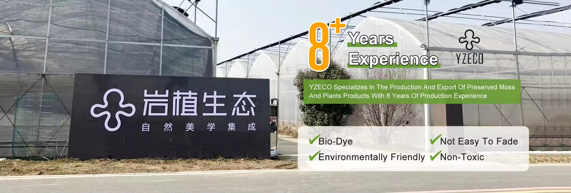 Qualität Natürliche, erhaltenen Moose usine