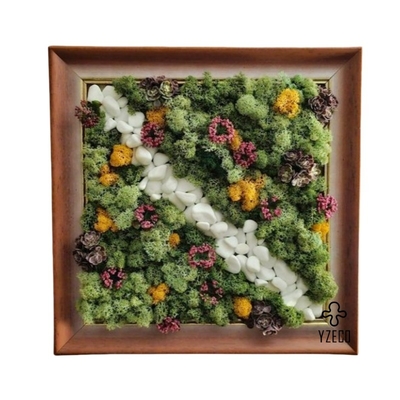 quality Echtes Musch-Wandbild für Gartendekor ohne Wartung und natürliche Schönheit factory